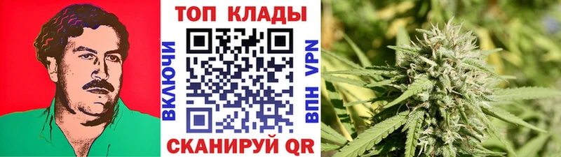Наркошоп купить Гашиш  Кокаин  A PVP  Бошки Шишки  ГЕРОИН  Мефедрон  Магадан