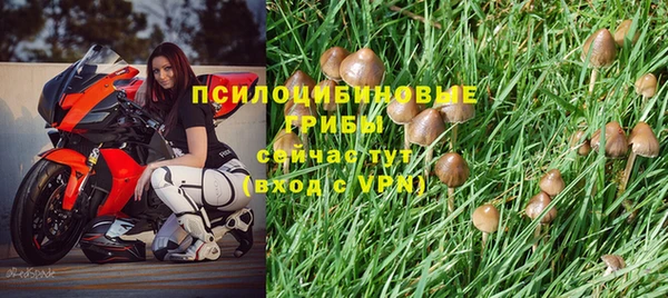 а пвп мука Бородино