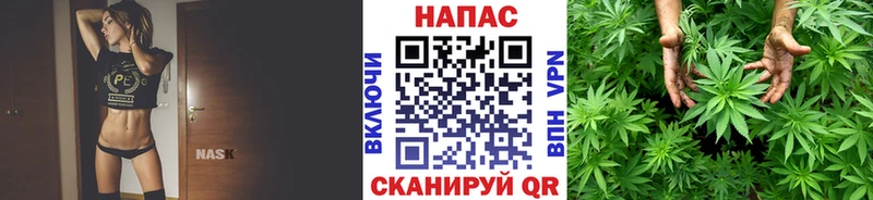 Купить  Магадан  Бошки Шишки OG Kush 